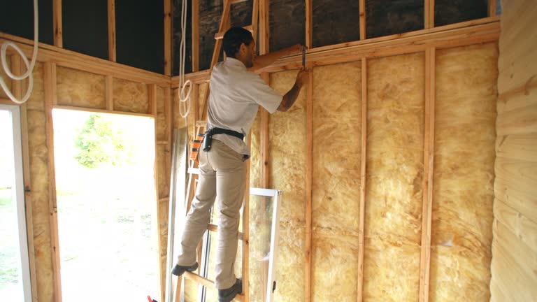 Best Basement Insulation  in New Miami, OH